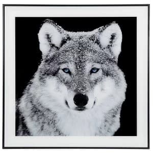 Decor Picture Square Large Wolf