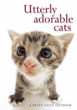 Utterly Adorable Cats by Stuart Macfarlane Book