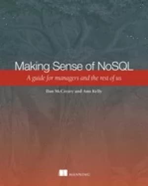 making sense of nosql a guide for managers and the rest of us