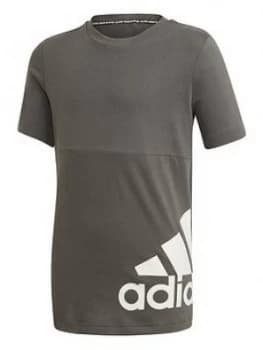 Adidas Boys Must Have Badge Of Sport T-Shirt - Khaki