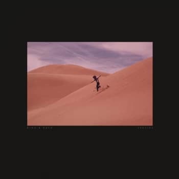 Bing & Ruth - Species Vinyl