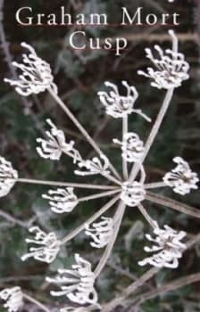 Cusp by Graham Mort Book