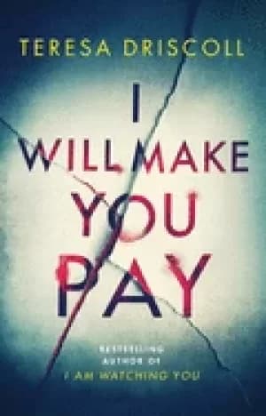 i will make you pay