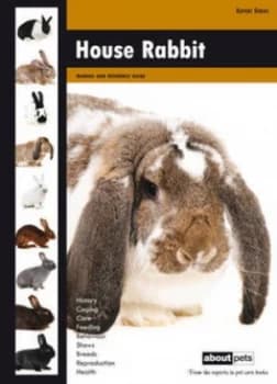 House Rabbit Hardback