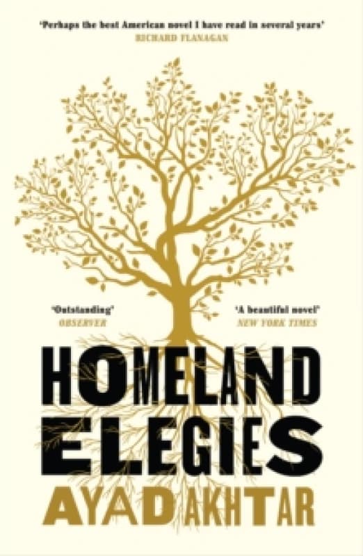 Homeland Elegies : A Barack Obama Favourite Book Paperback / softback