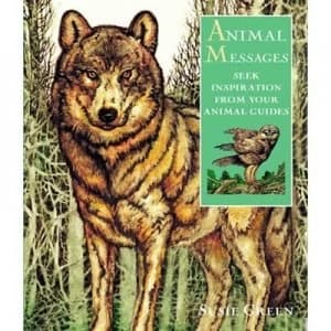 Animal Messages by Susie Green Book
