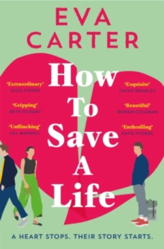 How to Save a Life Paperback / softback