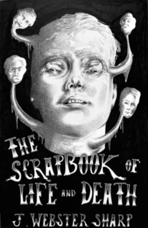 The Scrapbook Of Life And Death Paperback / softback