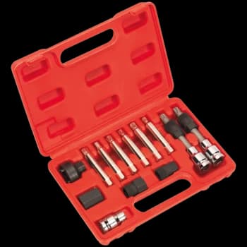 Sealey 13 Piece Alternator Freewheel Removal Tool Kit