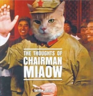 The Thoughts of Chairman Miaow by Andrew T Davies Hardback