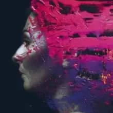 Hand.Cannot.Erase (Deluxe Edition)