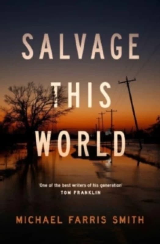 Salvage This World. Paperback. By Michael F Smith Books