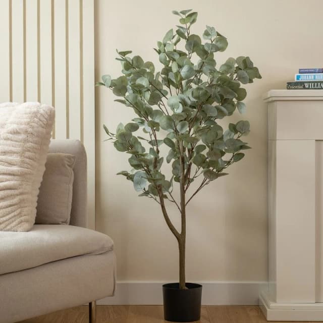 Scottish Everlastings Ltd Eucalyptus Tree 120cm, Green SEL1215