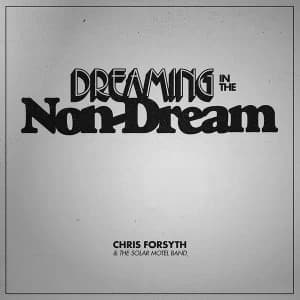Chris Forsyth - Dreaming In The Non-Dream Vinyl