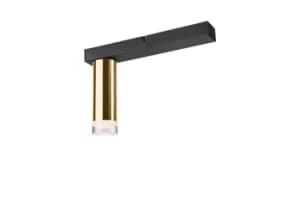 Diego Surface Mounted Downlight Gold, 1x E27