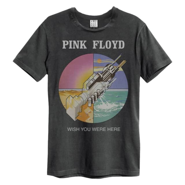 Amplified Amplified Men Wish You Were Here Pink Floyd T-Shirt in Charcoal Size: Small Charcoal S Male 5063470408368