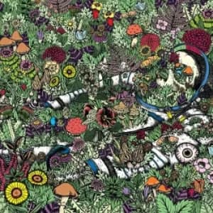 Whatever Forever by Oozing Wound Vinyl Album