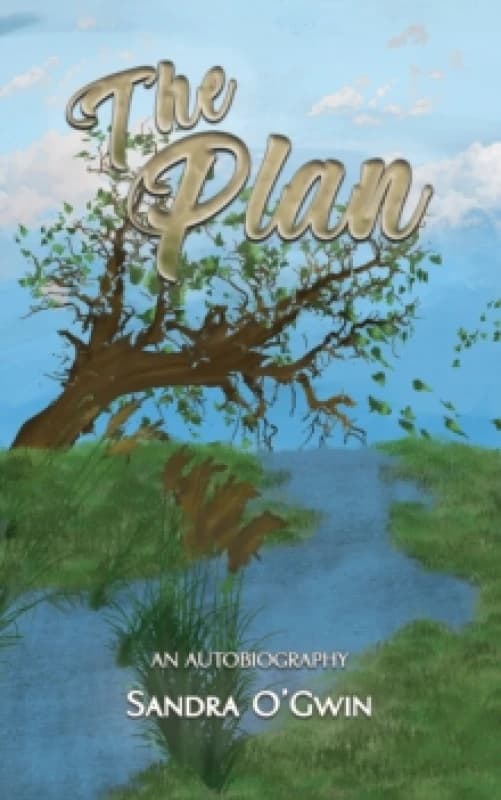 The Plan. Paperback. By Sandra OGwin Books