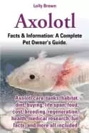 axolotl axolotl care tanks habitat diet buying life span food cost breedin