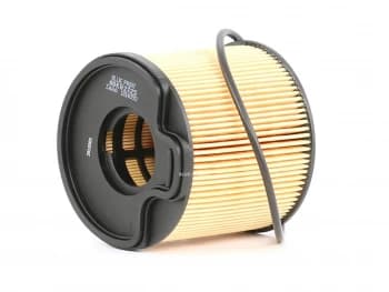 Blue PRINT Fuel Filter PEUGEOT,CITROEN,LANCIA ADK82325 190650,190651,1906A1 1906C5,E148043,E148120,71771387,9401906508,9401906508,190650,190651