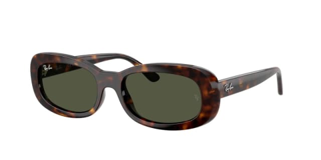 Ray-Ban 0Rb2221 Oval Sunglasses - Brown Brown WUF8X Female