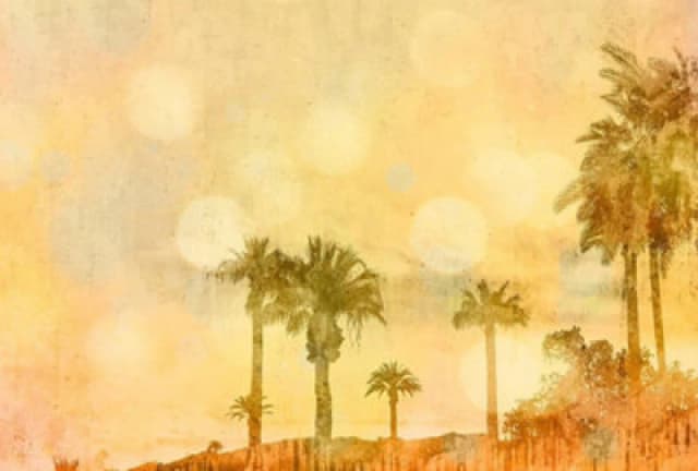 As Creation Palm Oasis 1 Digital Mural 400Cm X 270Cm