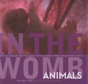 In the Womb by Michael Sims Hardback