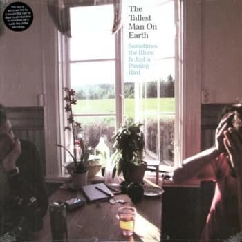 Tallest Man On Earth - Sometimes The Blues Is Vinyl