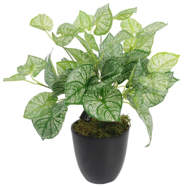 Leaf 40cm Artificial Caladium Plant with pot Green