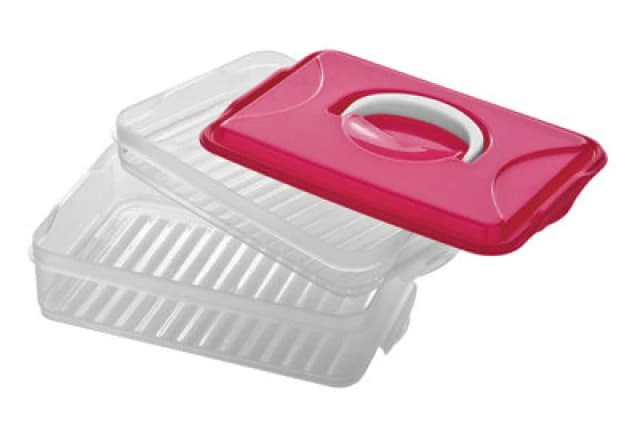 Premier Housewares Hot Pink 2 Layer Food Container Clear