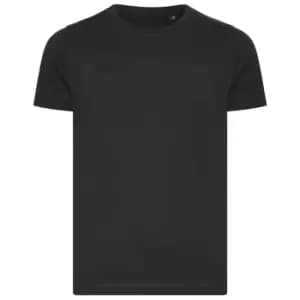 Ecologie Childrens/Kids Cascades Organic T-Shirt (12-13 Years) (Charcoal)