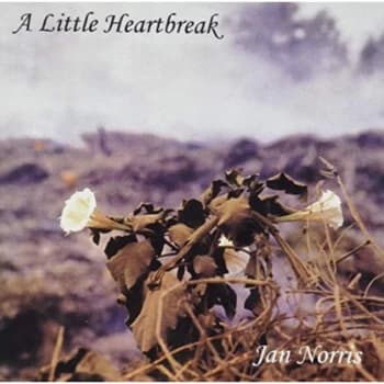 Jan Norris - A Little Heartbreak CD