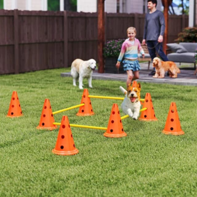 PawHut Dog Agility Equipment Set, Four Piece Adjustable Height Jumping, Orange D07-059V02OG