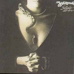Slide It In by Whitesnake CD Album