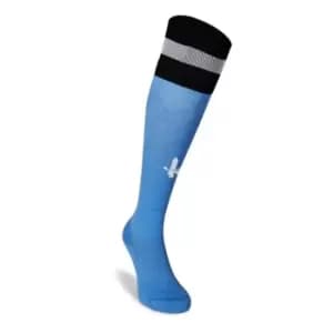 Castore Charlton Athletic Away Goalkeeper Socks Juniors - Blue