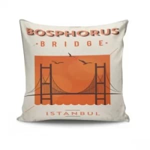 NKRLNT-022 Multicolor Cushion