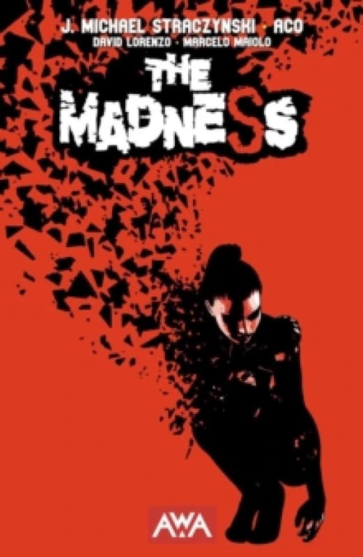 The Madness Paperback / softback