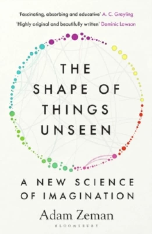 The Shape of Things Unseen : A New Science of Imagination Paperback / softback