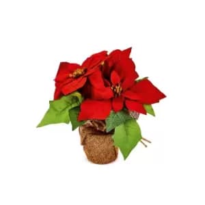 Poinsettia in Hessian Pot
