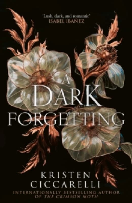 A Dark Forgetting. Hardback. By Kristen Ciccarelli Books
