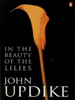 In the Beauty of the Lilies by John Updike Book