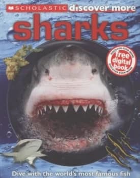 Sharks by Penny Arlon Paperback