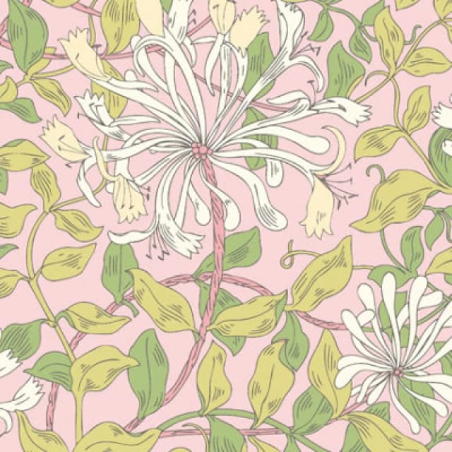 Hoopla Walls Honeysuckle Leaf Trail Soft Pink Smooth Matt Wallpaper