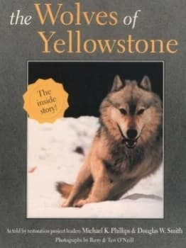 The Wolves of Yellowstone Paperback