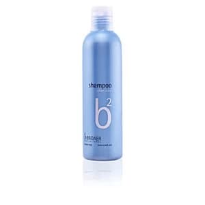 B2 silver shampoo 250ml