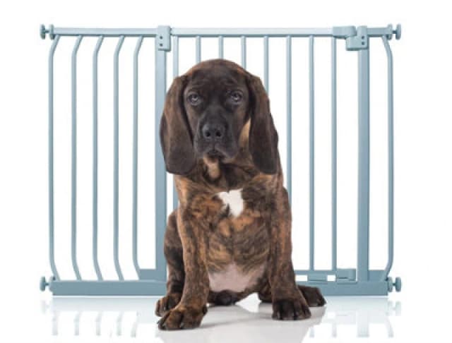 Bettacare Elite Pressure Dog Gate, 98Cm -107Cm, Matt Grey, Pressure Fit Pet Gate For Dog And Puppy