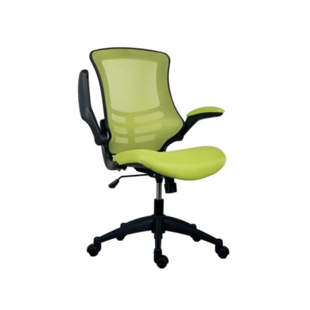 Jemini Jaya Mesh Back Chair with Folding Arms 680x670x1070mm Green KF77786