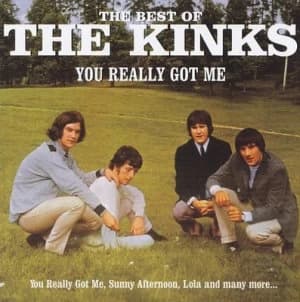 You Really Got Me The Best of the Kinks by The Kinks CD Album