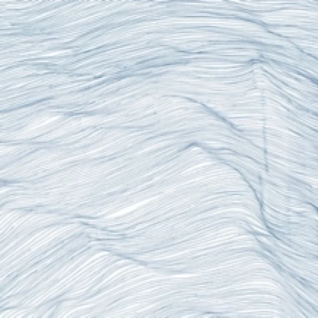 Two centuries CD / Album