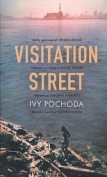 Visitation Street by Ivy Pochoda Paperback